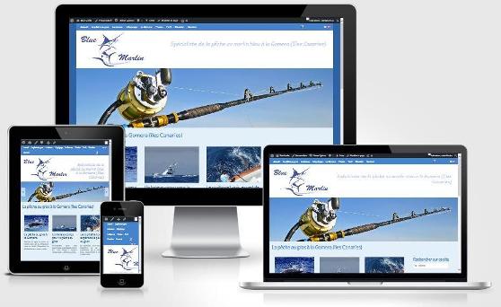 Site responsive créé avec WordPress pour Blue Marlin (Province de Liège)